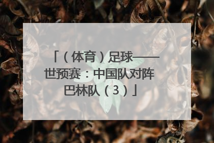 （体育）足球——世预赛：中国队对阵巴林队（3）