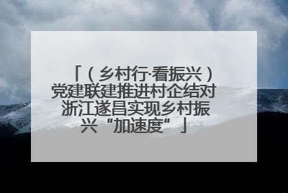 （乡村行·看振兴）党建联建推进村企结对 浙江遂昌实现乡村振兴“加速度”