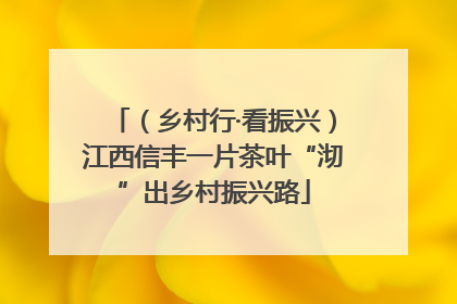 （乡村行·看振兴）江西信丰一片茶叶“沏”出乡村振兴路