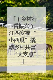 （乡村行·看振兴）江西安福“小西瓜”撬动乡村共富“大支点”