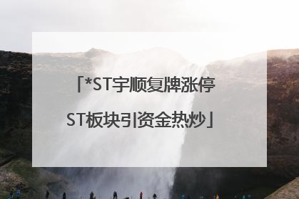 *ST宇顺复牌涨停 ST板块引资金热炒