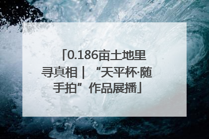 0.186亩土地里寻真相｜“天平杯·随手拍”作品展播