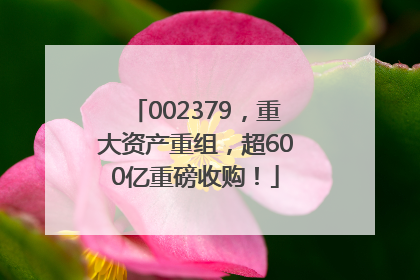 002379，重大资产重组，超600亿重磅收购！
