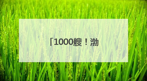 1000艘！渤海湾崛起世界级船舶租赁中心 促进全球贸易流动