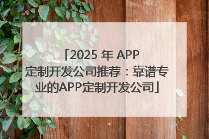 2025 年 APP 定制开发公司推荐：靠谱专业的APP定制开发公司