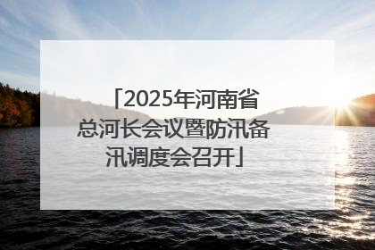 2025年河南省总河长会议暨防汛备汛调度会召开