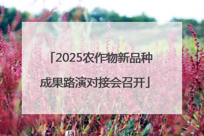 2025农作物新品种成果路演对接会召开