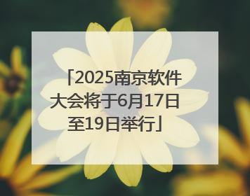2025南京软件大会将于6月17日至19日举行