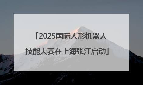2025国际人形机器人技能大赛在上海张江启动