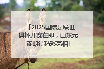 2025国际足联世俱杯开赛在即，山东元素期待精彩亮相