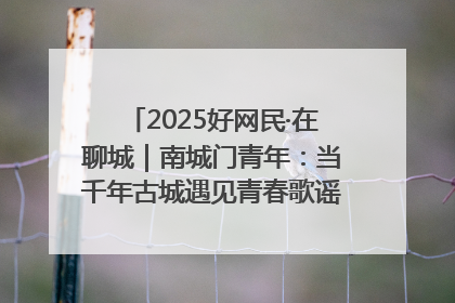 2025好网民·在聊城｜南城门青年：当千年古城遇见青春歌谣 一湖碧水见证的“聊城式浪漫”