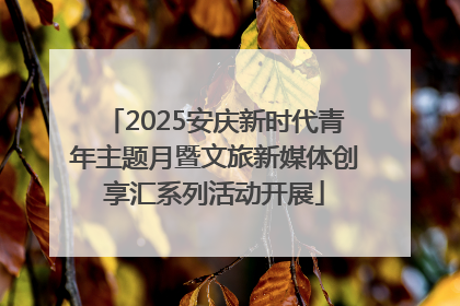 2025安庆新时代青年主题月暨文旅新媒体创享汇系列活动开展