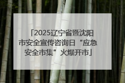2025辽宁省暨沈阳市安全宣传咨询日“应急安全市集”火爆开市