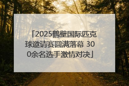 2025鹤壁国际匹克球邀请赛圆满落幕 300余名选手激情对决
