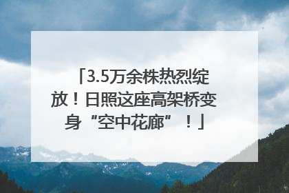 3.5万余株热烈绽放！日照这座高架桥变身“空中花廊”！