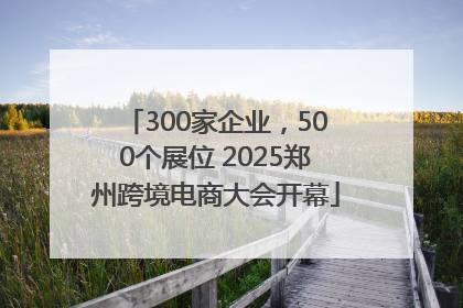 300家企业，500个展位 2025郑州跨境电商大会开幕