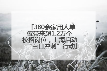 380余家用人单位带来超1.2万个校招岗位，上海启动“百日冲刺”行动