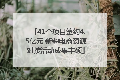 41个项目签约4.5亿元 新疆电商资源对接活动成果丰硕