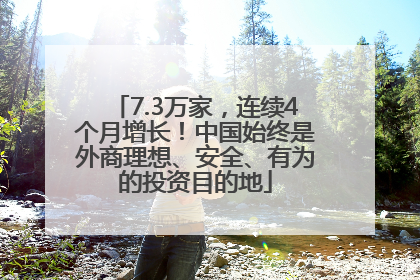 7.3万家，连续4个月增长！中国始终是外商理想、安全、有为的投资目的地