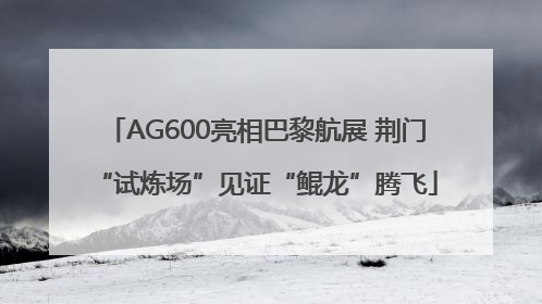 AG600亮相巴黎航展 荆门“试炼场”见证“鲲龙”腾飞