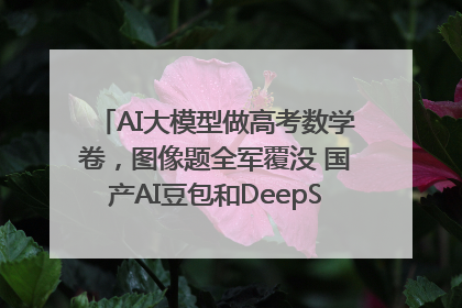 AI大模型做高考数学卷，图像题全军覆没 国产AI豆包和DeepSeek均得分144