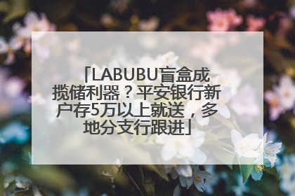 LABUBU盲盒成揽储利器？平安银行新户存5万以上就送，多地分支行跟进