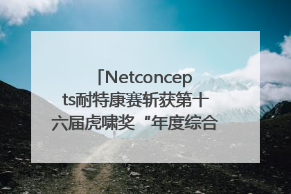 Netconcepts耐特康赛斩获第十六届虎啸奖“年度综合服务商”大奖