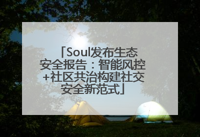 Soul发布生态安全报告：智能风控+社区共治构建社交安全新范式
